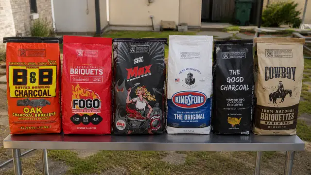 Line up of charcoal briquettes to test