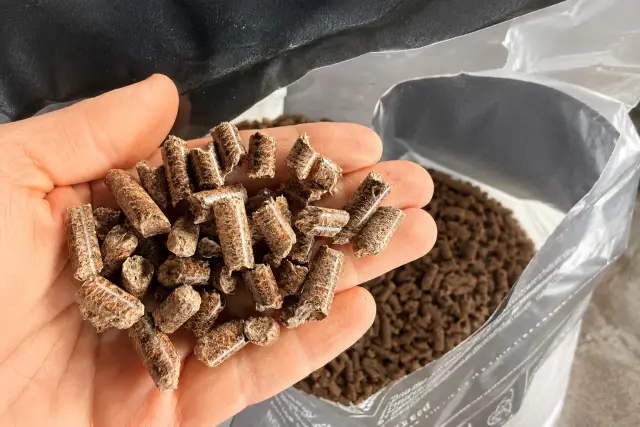 Checking condition of pellets